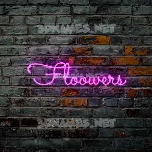 floowers in Pink Neon style - 3D name wallpaper floowers in Pink Neon style - 3D name wallpaper