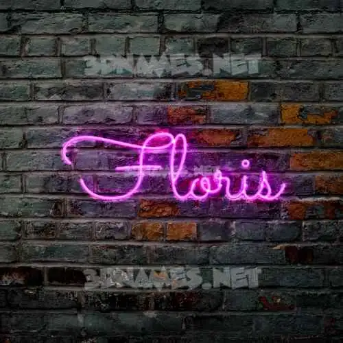 floris in Pink Neon style - 3D name wallpaper floris in Pink Neon style - 3D name wallpaper