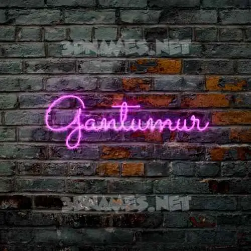gantumur in Pink Neon style - 3D name wallpaper gantumur in Pink Neon style - 3D name wallpaper