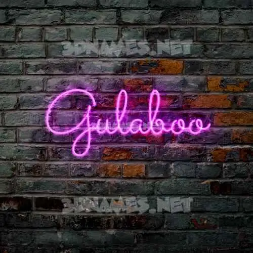 gulaboo in Pink Neon style - 3D name wallpaper
