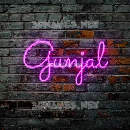 gunjal in Pink Neon style - 3D name wallpaper gunjal in Pink Neon style - 3D name wallpaper