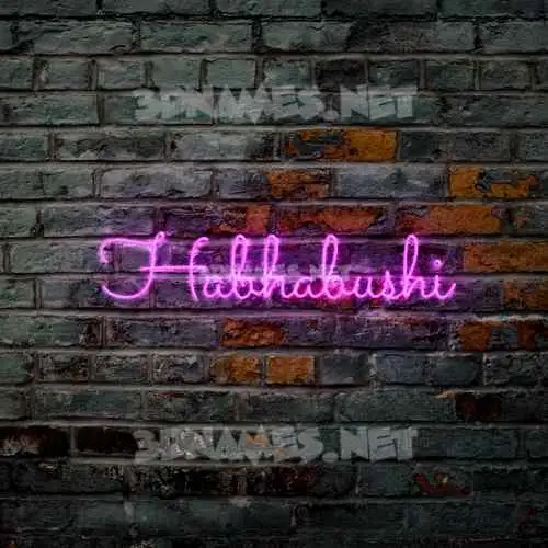 habhabushi in Pink Neon style - 3D name wallpaper habhabushi in Pink Neon style - 3D name wallpaper