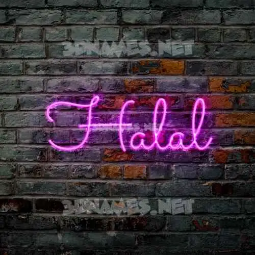 halal in Pink Neon style - 3D name wallpaper halal in Pink Neon style - 3D name wallpaper