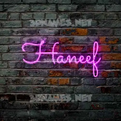 haneef in Pink Neon style - 3D name wallpaper haneef in Pink Neon style - 3D name wallpaper
