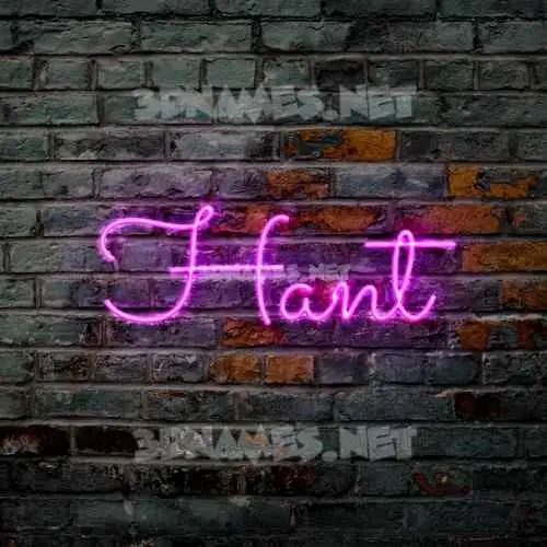 hant in Pink Neon style - 3D name wallpaper hant in Pink Neon style - 3D name wallpaper