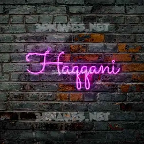 haqqani in Pink Neon style - 3D name wallpaper haqqani in Pink Neon style - 3D name wallpaper