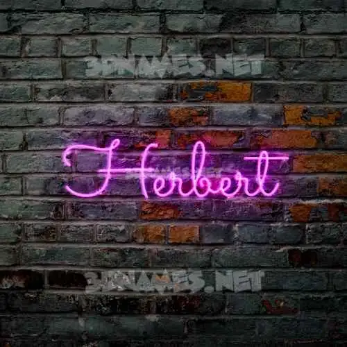 herbert in Pink Neon style - 3D name wallpaper