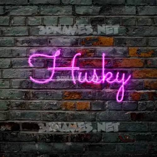 husky in Pink Neon style - 3D name wallpaper husky in Pink Neon style - 3D name wallpaper
