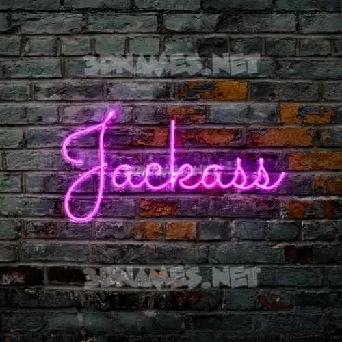 jackass in Pink Neon style - 3D name wallpaper jackass in Pink Neon style - 3D name wallpaper