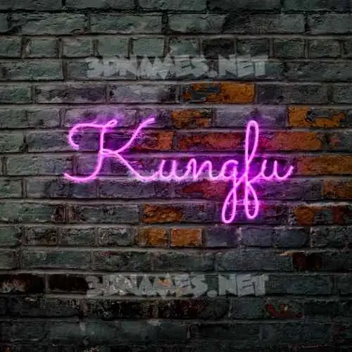 kungfu in Pink Neon style - 3D name wallpaper