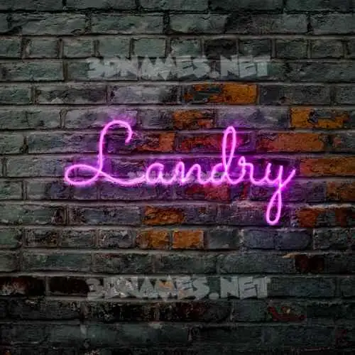 landry in Pink Neon style - 3D name wallpaper landry in Pink Neon style - 3D name wallpaper