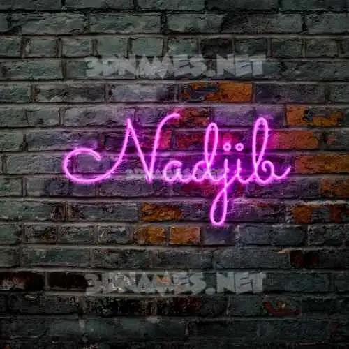 nadjib in Pink Neon style - 3D name wallpaper nadjib in Pink Neon style - 3D name wallpaper