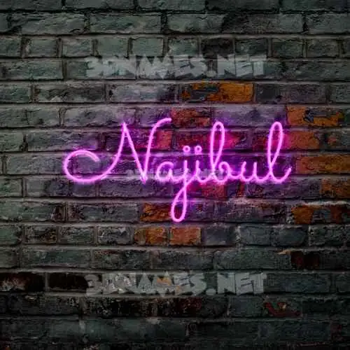 najibul in Pink Neon style - 3D name wallpaper najibul in Pink Neon style - 3D name wallpaper