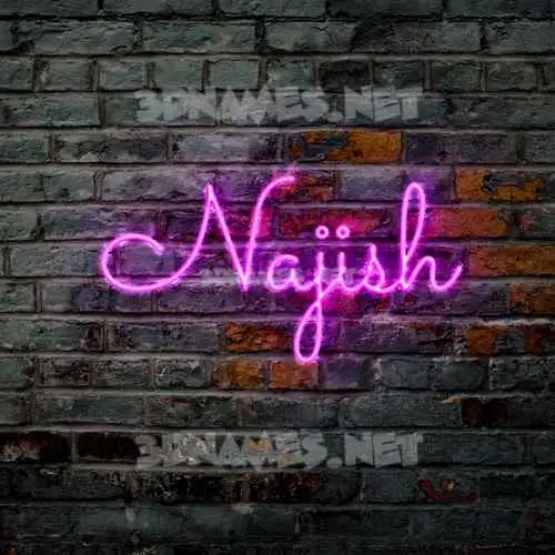 najish in Pink Neon style - 3D name wallpaper najish in Pink Neon style - 3D name wallpaper