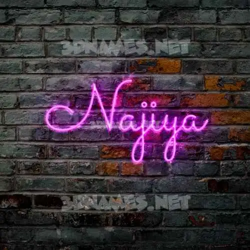 najiya in Pink Neon style - 3D name wallpaper najiya in Pink Neon style - 3D name wallpaper