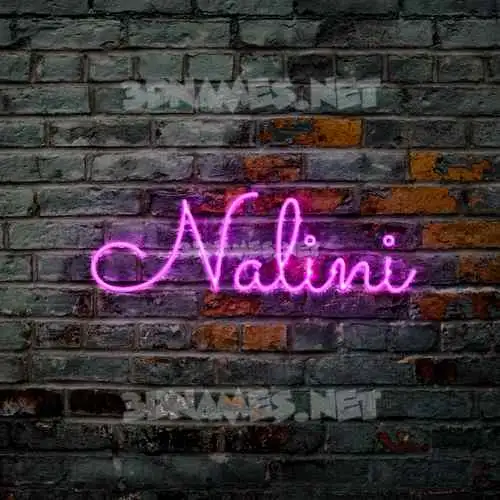 nalini in Pink Neon style - 3D name wallpaper nalini in Pink Neon style - 3D name wallpaper