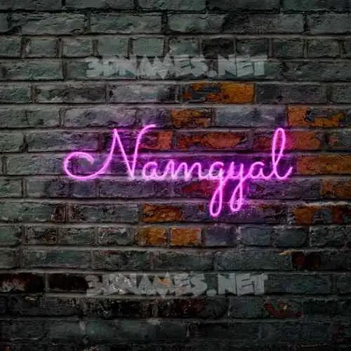namgyal in Pink Neon style - 3D name wallpaper namgyal in Pink Neon style - 3D name wallpaper