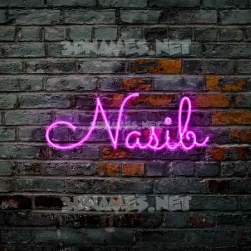 nasib in Pink Neon style - 3D name wallpaper nasib in Pink Neon style - 3D name wallpaper