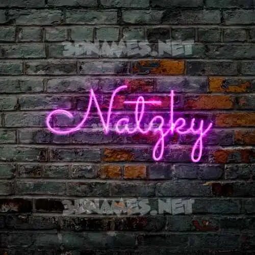 natzky in Pink Neon style - 3D name wallpaper