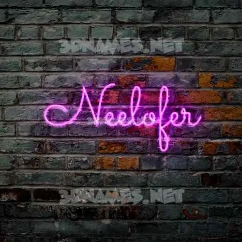 neelofer in Pink Neon style - 3D name wallpaper neelofer in Pink Neon style - 3D name wallpaper