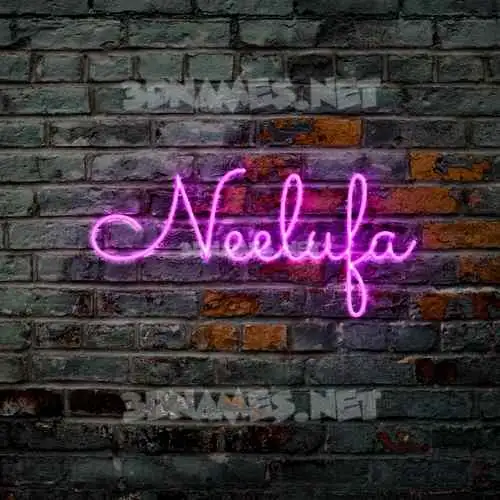 neelufa in Pink Neon style - 3D name wallpaper neelufa in Pink Neon style - 3D name wallpaper