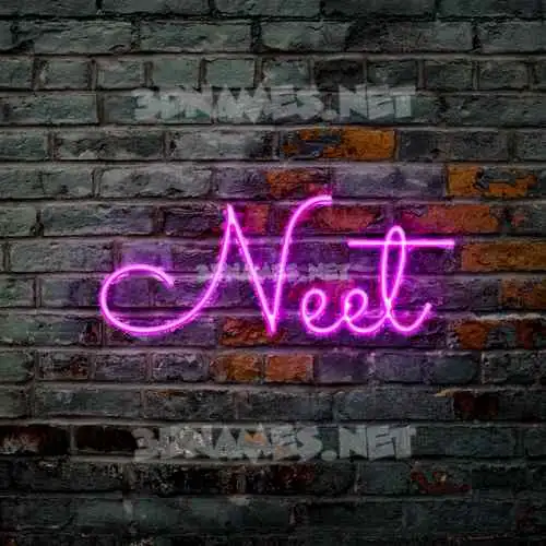 neet in Pink Neon style - 3D name wallpaper