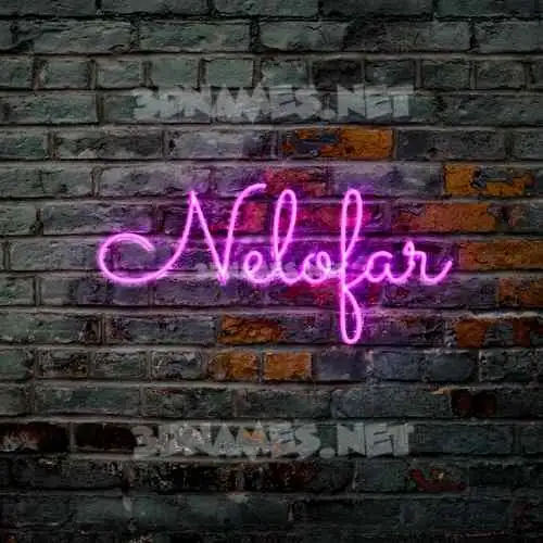 nelofar in Pink Neon style - 3D name wallpaper nelofar in Pink Neon style - 3D name wallpaper