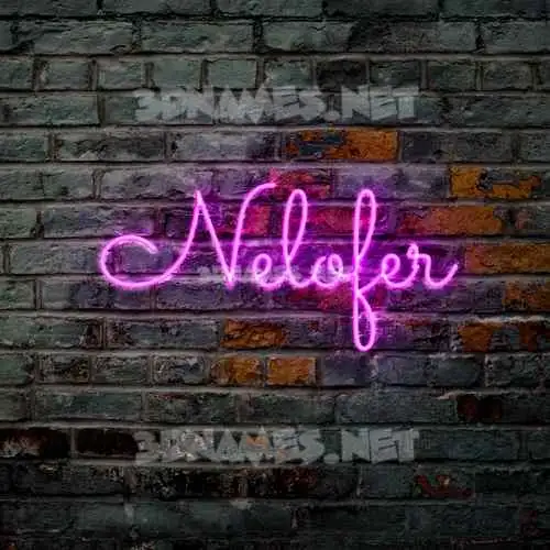 nelofer in Pink Neon style - 3D name wallpaper nelofer in Pink Neon style - 3D name wallpaper