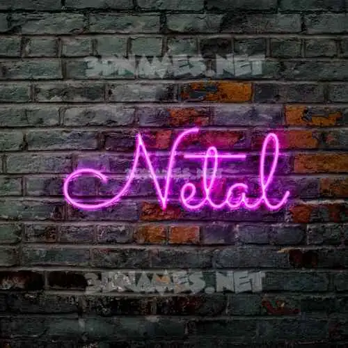 netal in Pink Neon style - 3D name wallpaper