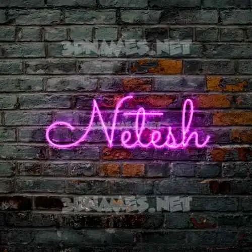 netesh in Pink Neon style - 3D name wallpaper