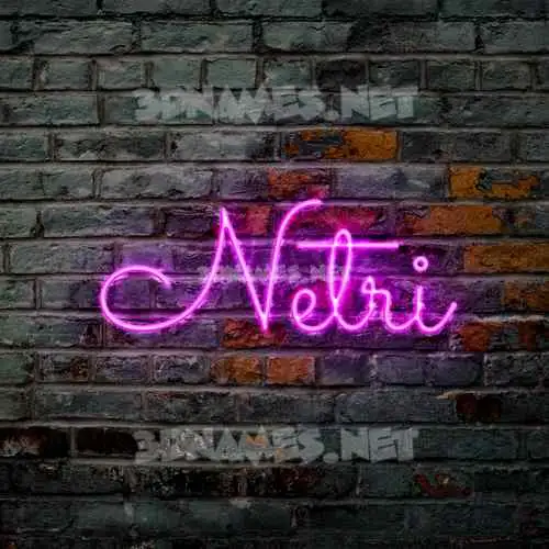 netri in Pink Neon style - 3D name wallpaper