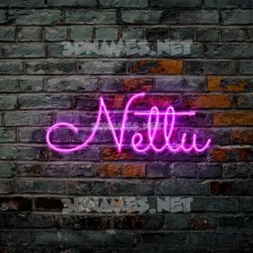 nettu in Pink Neon style - 3D name wallpaper
