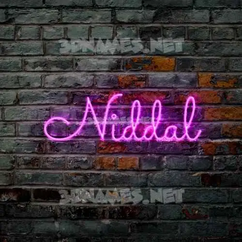 niddal in Pink Neon style - 3D name wallpaper niddal in Pink Neon style - 3D name wallpaper
