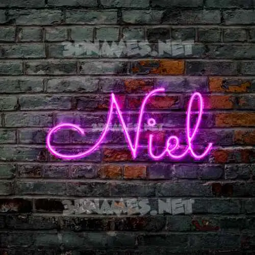 niel in Pink Neon style - 3D name wallpaper