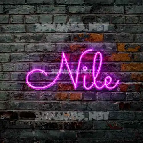 nile in Pink Neon style - 3D name wallpaper nile in Pink Neon style - 3D name wallpaper