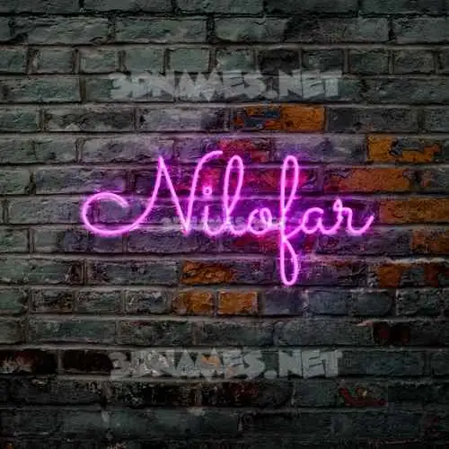 nilofar in Pink Neon style - 3D name wallpaper nilofar in Pink Neon style - 3D name wallpaper
