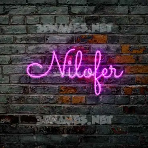 nilofer in Pink Neon style - 3D name wallpaper