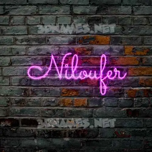 niloufer in Pink Neon style - 3D name wallpaper niloufer in Pink Neon style - 3D name wallpaper
