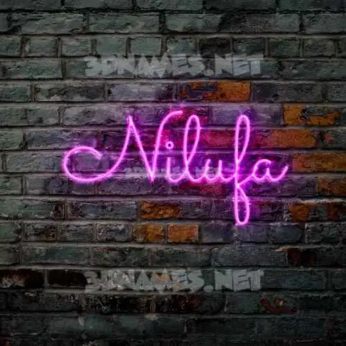 nilufa in Pink Neon style - 3D name wallpaper nilufa in Pink Neon style - 3D name wallpaper