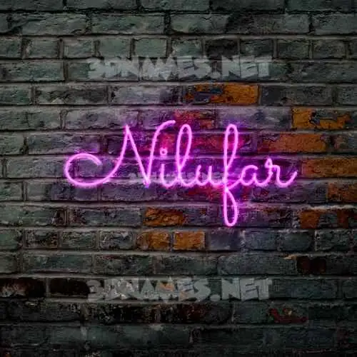 nilufar in Pink Neon style - 3D name wallpaper nilufar in Pink Neon style - 3D name wallpaper