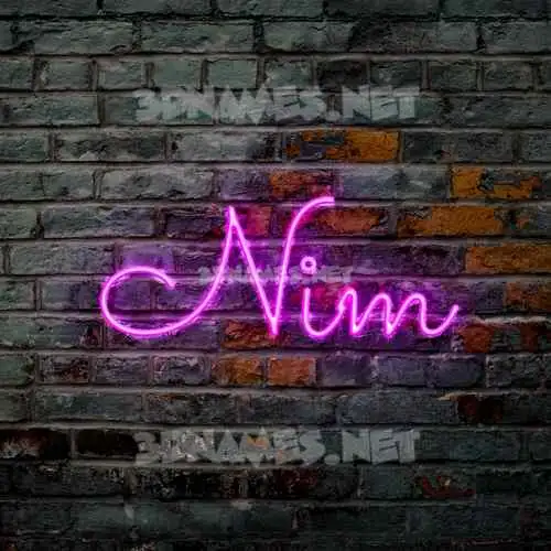 nim in Pink Neon style - 3D name wallpaper