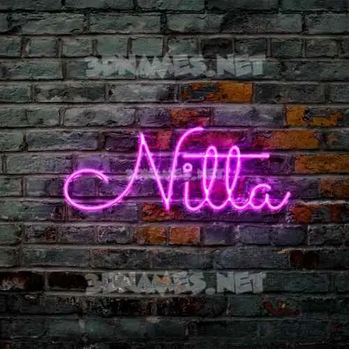 nitta in Pink Neon style - 3D name wallpaper