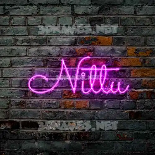 nittu in Pink Neon style - 3D name wallpaper