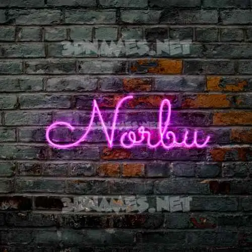 norbu in Pink Neon style - 3D name wallpaper norbu in Pink Neon style - 3D name wallpaper