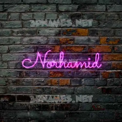 norhamid in Pink Neon style - 3D name wallpaper