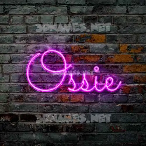 ossie in Pink Neon style - 3D name wallpaper