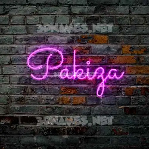 pakiza in Pink Neon style - 3D name wallpaper pakiza in Pink Neon style - 3D name wallpaper