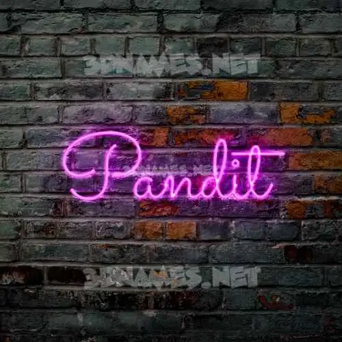 pandit in Pink Neon style - 3D name wallpaper pandit in Pink Neon style - 3D name wallpaper