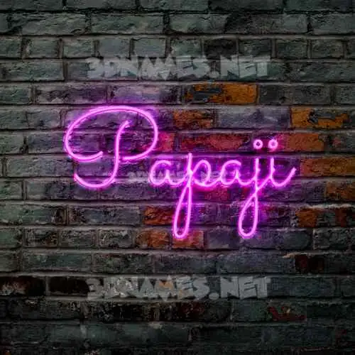 papaji in Pink Neon style - 3D name wallpaper papaji in Pink Neon style - 3D name wallpaper