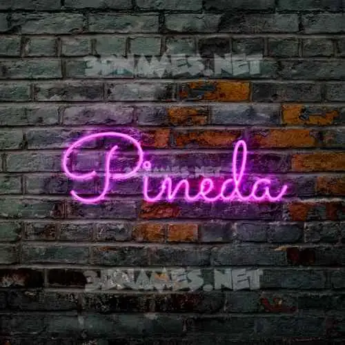pineda in Pink Neon style - 3D name wallpaper pineda in Pink Neon style - 3D name wallpaper
